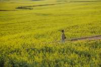 LUOPING IN SPRING 2025