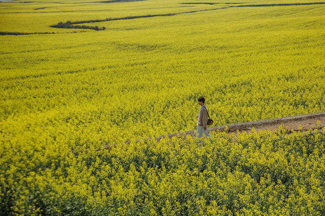 LUOPING IN SPRING 2025