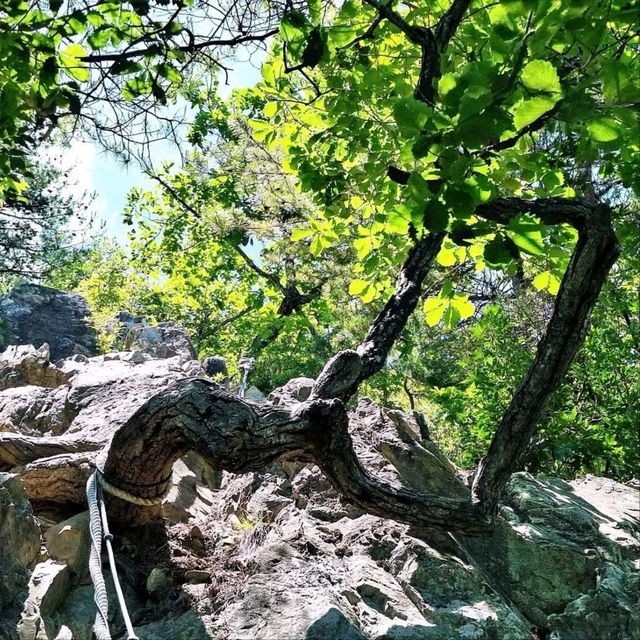 Peaceful Peaks & Temple Vibes