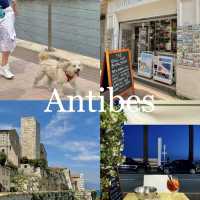 Antibes: My Go-To Spot for "Early Retirement" in the South of France! 🏖️