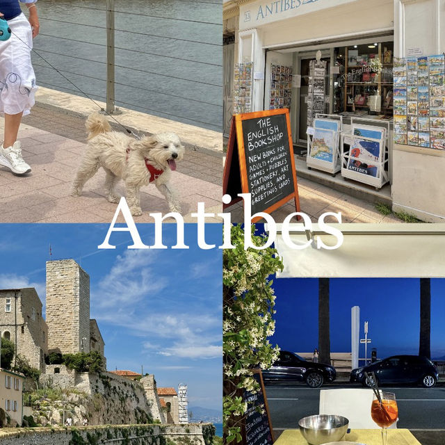 Antibes: My Go-To Spot for "Early Retirement" in the South of France! 🏖️
