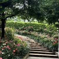  🌸 Fleur Cafe & Eatery – คาเฟ่กลางสวนสไตล์ยุโรป