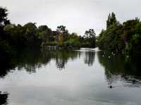 Summer Vacation at Dublin Zoo – A Wild Day in the Heart of the City