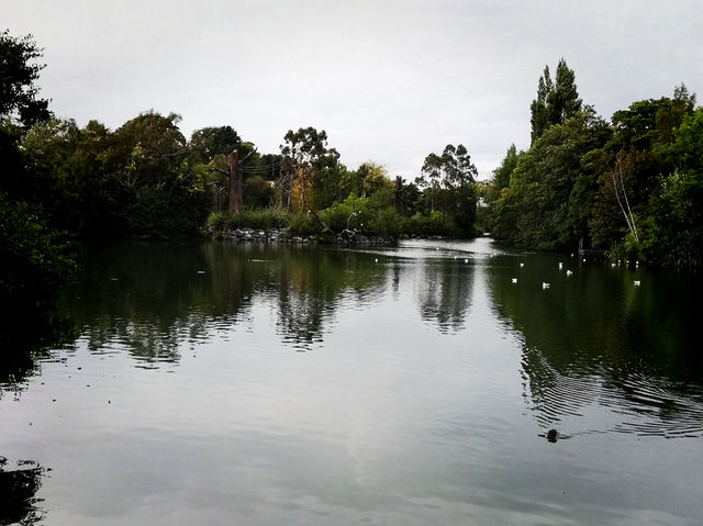 Summer Vacation at Dublin Zoo – A Wild Day in the Heart of the City