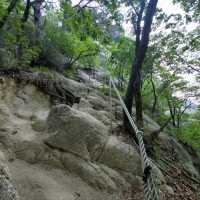 Rocky Trails & Sweet Views the summit of Yonghwasan Mountain