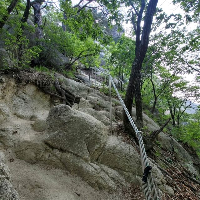 Rocky Trails & Sweet Views the summit of Yonghwasan Mountain