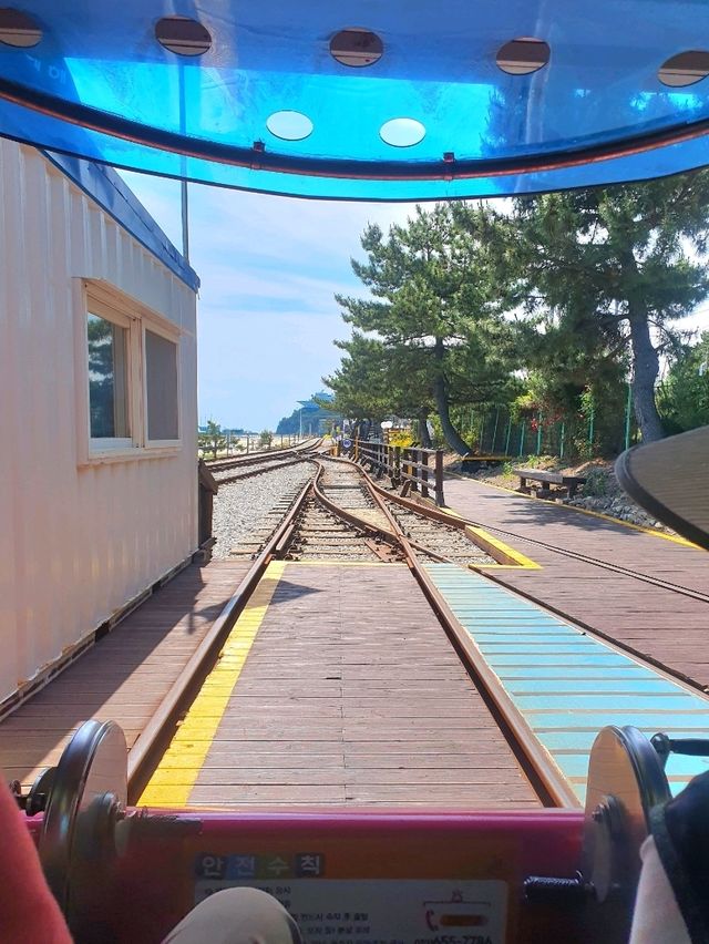 동해바다 오션뷰 레일바이크 즐기기⛱️
