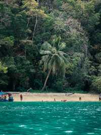 Into the Wild: Discover the Natural Wonders of Kilim Geoforest Park