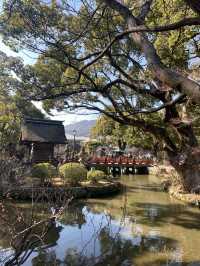 Dazaifu Tenmangu ขอพรเรื่องเรียนในบรรยากาศญี่ปุ่น