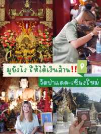 มูยังไงให้ได้เงินล้าน 💸
