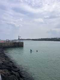 제주도 스노쿨링 명소 판포포구 🐠💙