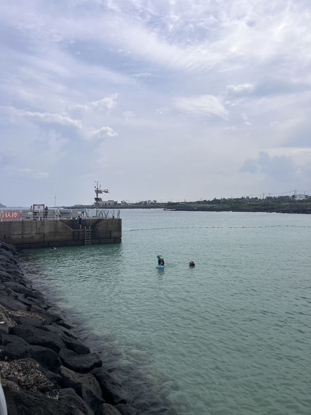 제주도 스노쿨링 명소 판포포구 🐠💙