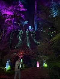 A different nightlife experience!