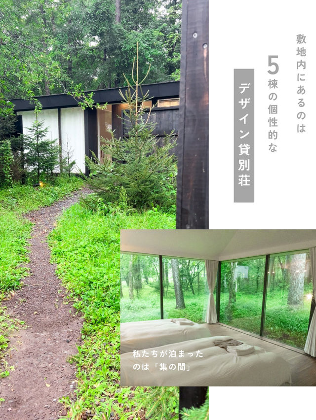 【軽井沢】＼まるで森の中／デザイン貸別荘🌿