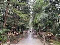 ⛩️ Serene Escape into Nature at Yahiko Shrine – Niigata