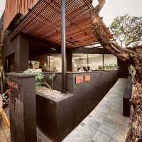 Ba Koudelka Cafe