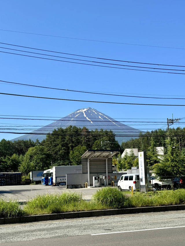 🌸⛩️ 3D2N Mt. Fuji, Hakone & Kamakura Scenic Escape! 🗻🚞✨