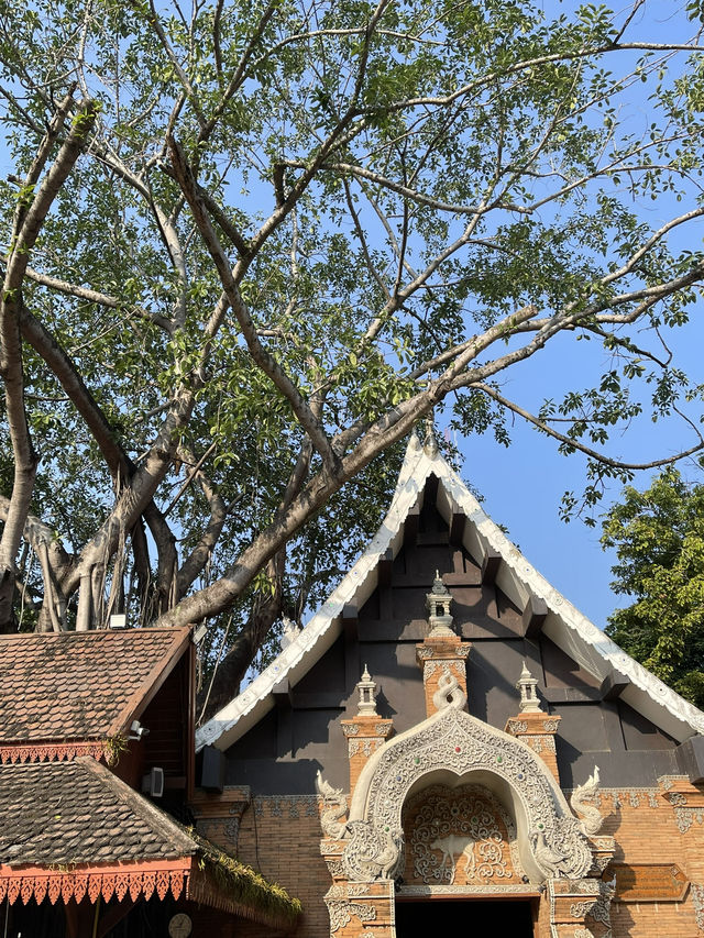 วัดโลกโมฬี