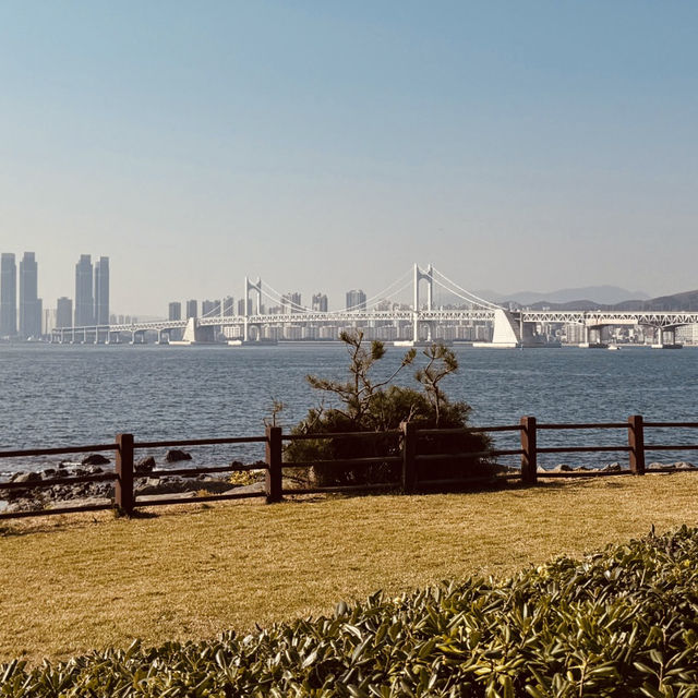 Nurimaru APEC House, Busan: A Blend of History, Architecture, and Coastal Beauty