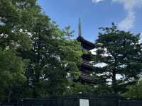 歷史與靜謐交融的時光旅程：上野東照宮參訪心得