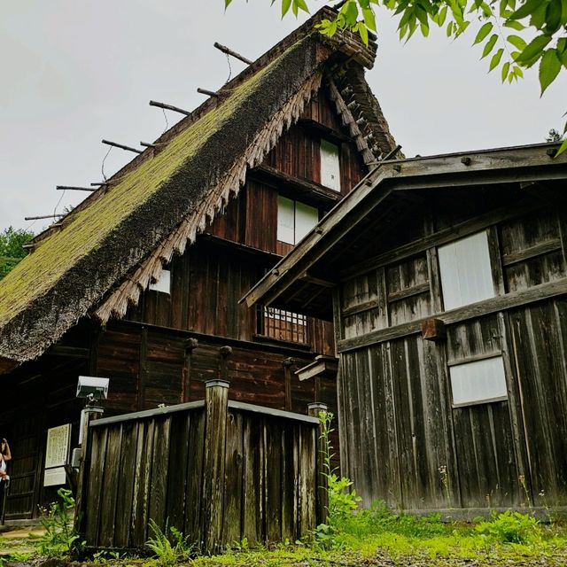 日本合掌村建築〔飛驒之里・舊若山家住所〕