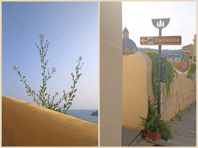 イタリア旅行の目的だった無名の島