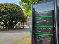 金澤漫步〔しいのき緑地せせらぎ〕光合作用散策 ☀️