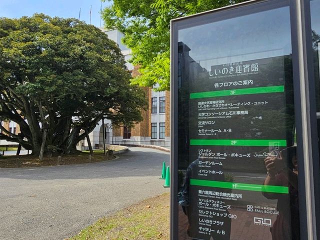 金澤漫步〔しいのき緑地せせらぎ〕光合作用散策 ☀️