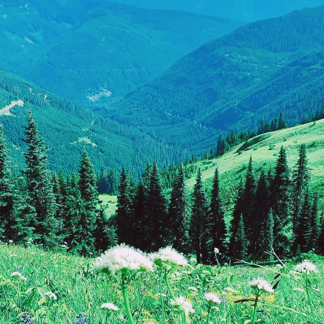 ～鳳埡山風景區～如詩山景～