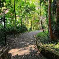 Mount Faber Park (Free hike + scenic views)