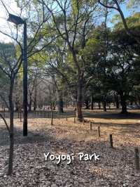 🇯🇵 Yoyogi Park 