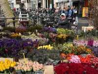 Utrecht: Miffy's Hometown & A Peaceful Dutch Escape! 🌷🚲