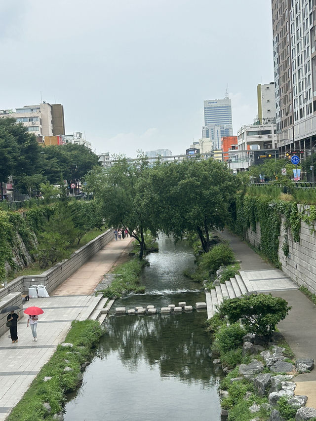 🖤 트렌디한 감각의 미학, 번트서울