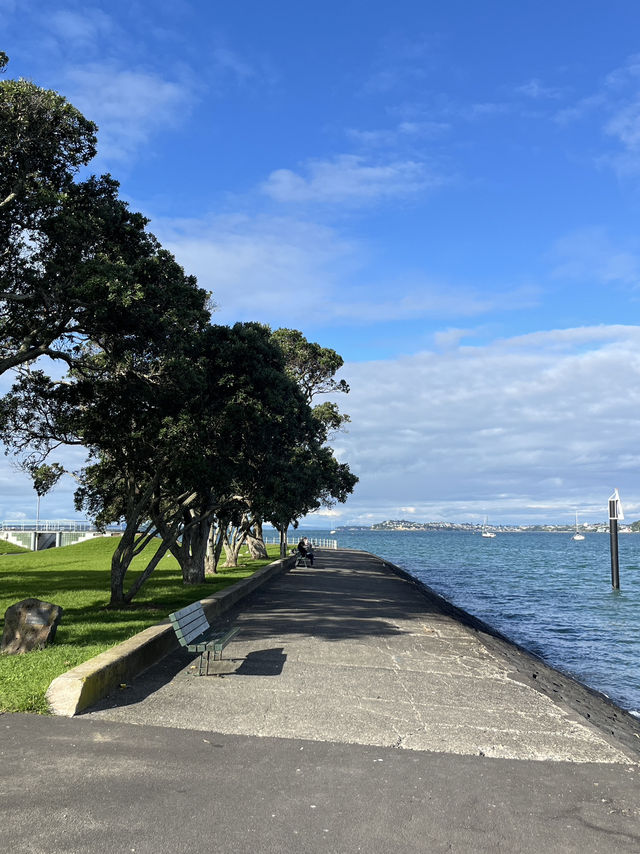 🌿🌊 🌿【奧克蘭市區一日遊】🌊走路就能到的療癒綠地＋海邊放空行程！