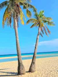 Sandbar Dreams at Kota Beach, Bantayan