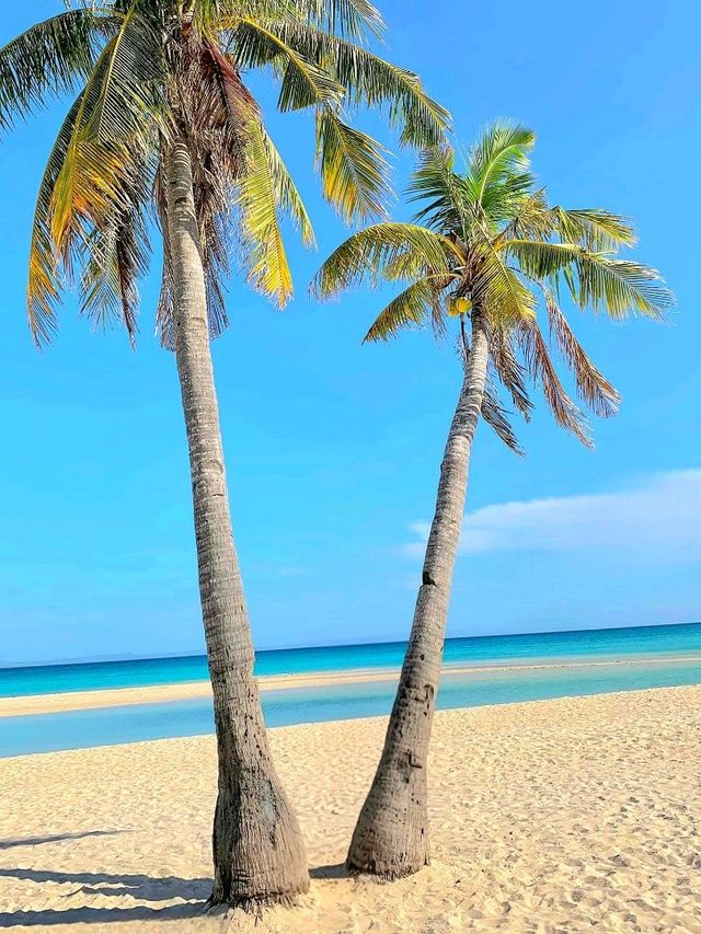 Sandbar Dreams at Kota Beach, Bantayan