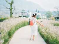 The Blue Sky Garden เขาค้อ