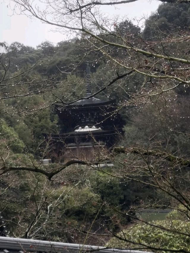 @ EIKANDO TEMPLE IN KYOTO.