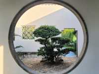 Whispers of Zen in the Heart of Singapore (Bonsai Garden)
