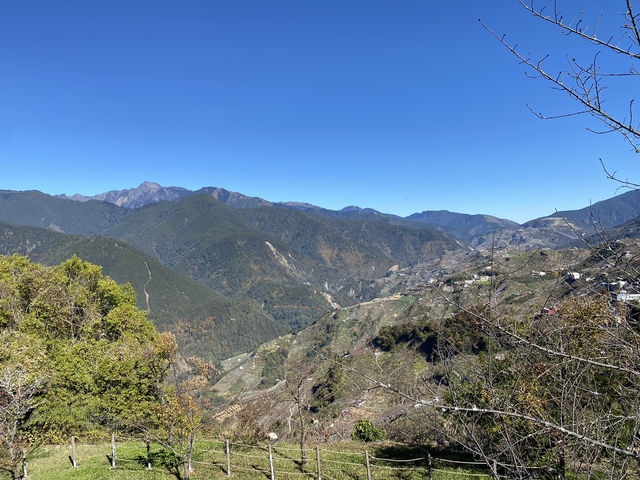 合歡山好歡樂！