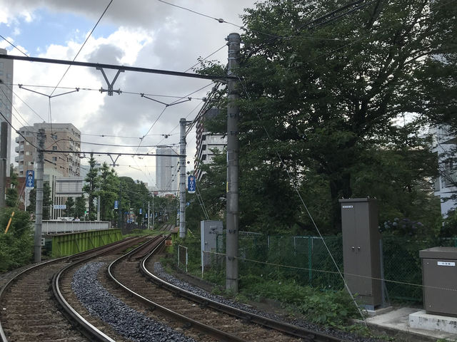 【雑司ヶ谷　鬼子母神　夏の朝の散歩】