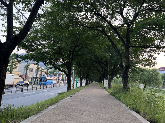 금오천 산책로 함께 걸을래요? 