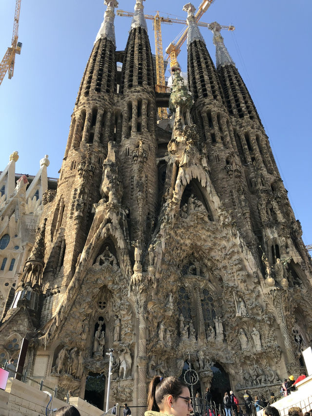 🌇アートも海もグルメも！五感で楽しむバルセロナ旅🇪🇸✨