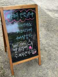 🎋 숲과 바다 사이에서 만나는 안식처, ‘카페 안녕나무야’ 🎋