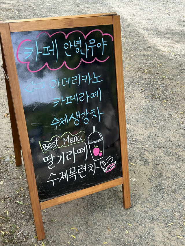 🎋 숲과 바다 사이에서 만나는 안식처, ‘카페 안녕나무야’ 🎋