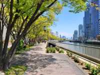 隱身大阪銀行街中的都市之肺/大阪中之島綠地公園