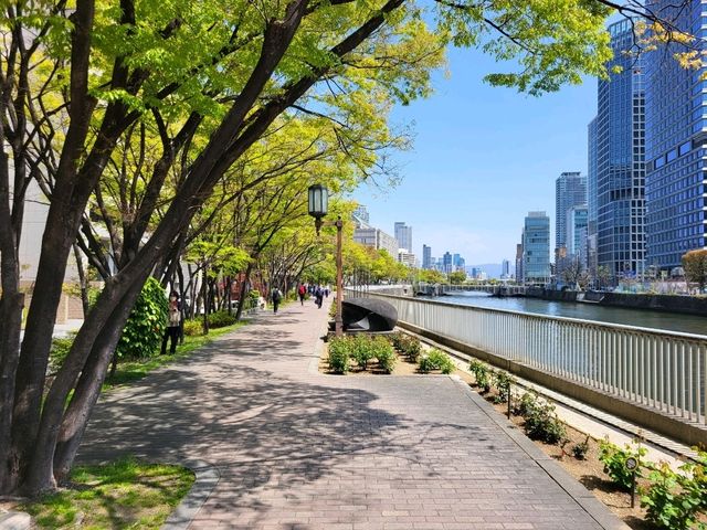 隱身大阪銀行街中的都市之肺/大阪中之島綠地公園