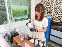 Summer Shake HDY
