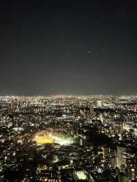 🌆 Tokyo in 3 Iconic Stops: Skyline, Loyalty & Organized Chaos 🐶✨