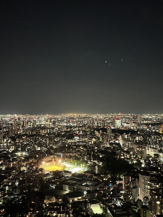 🌆 Tokyo in 3 Iconic Stops: Skyline, Loyalty & Organized Chaos 🐶✨